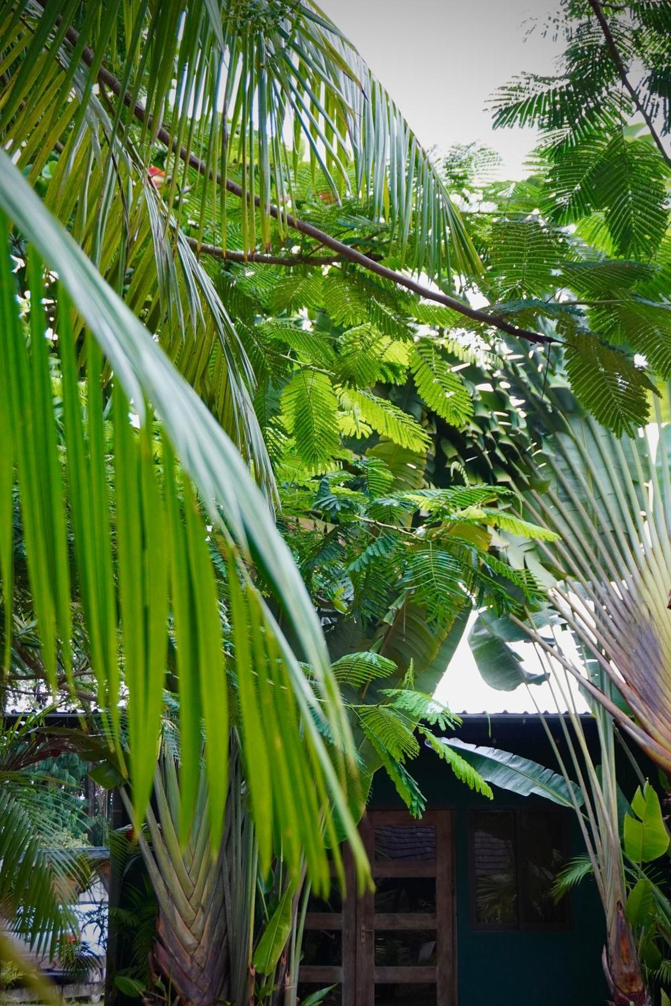 Houttuyn Wellness River Resort Paramaribo Luaran gambar