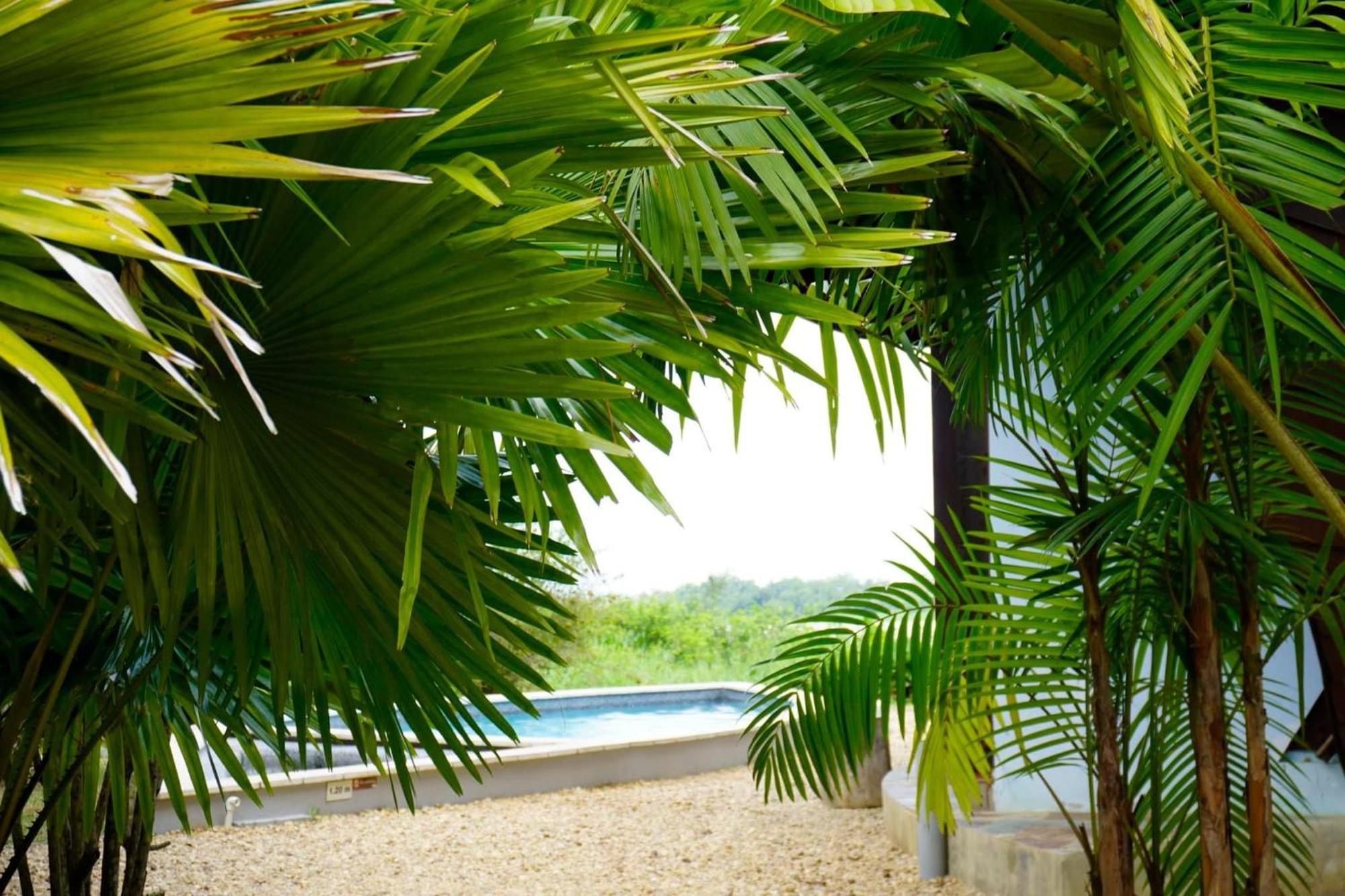 Houttuyn Wellness River Resort Paramaribo Luaran gambar